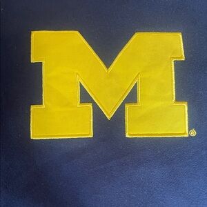 Kids Michigan Hoodie